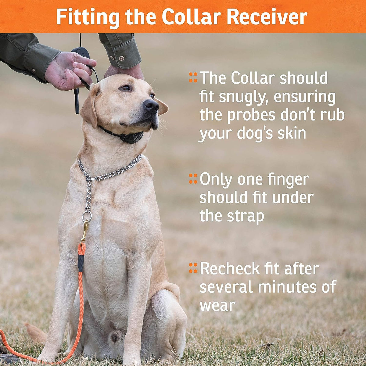 SportDOG Brand NoBark 10 Collar - Rechargeable, Programmable Bark Collar - Waterproof & Submersible, Black